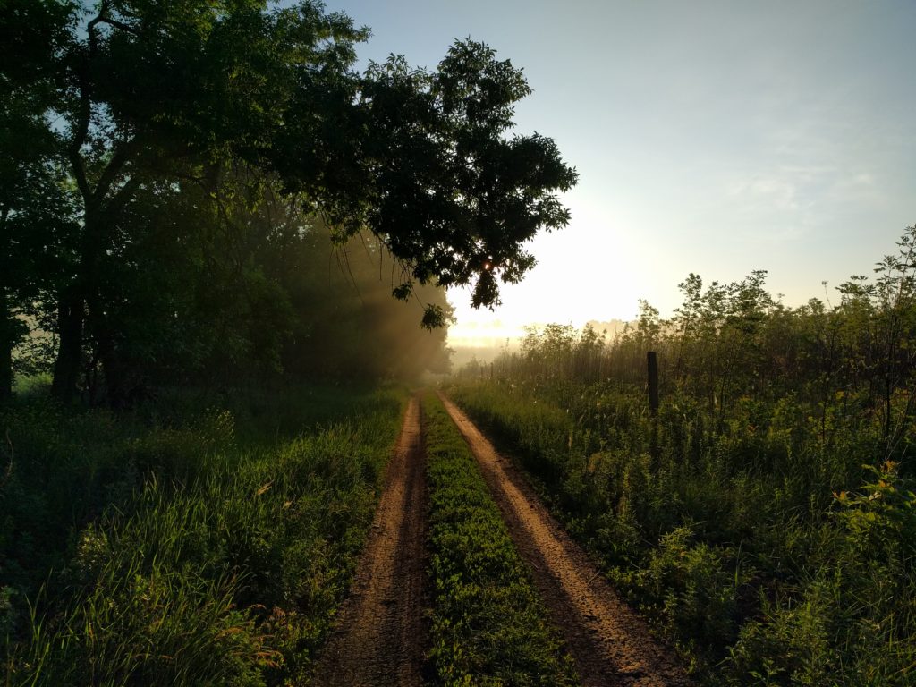 IMG_20180604_052127 (1)